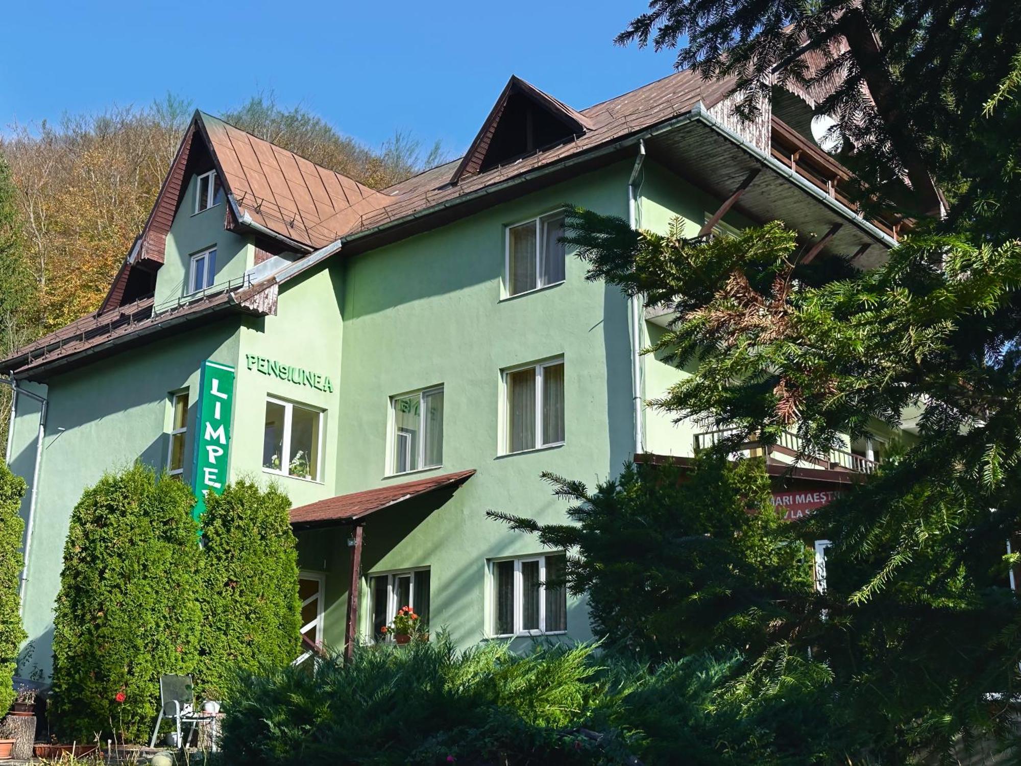 Pensiunea Limpedea Baia Sprie Exterior foto