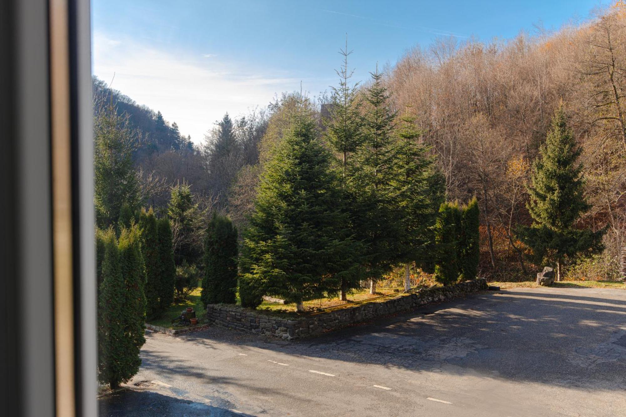 Pensiunea Limpedea Baia Sprie Exterior foto