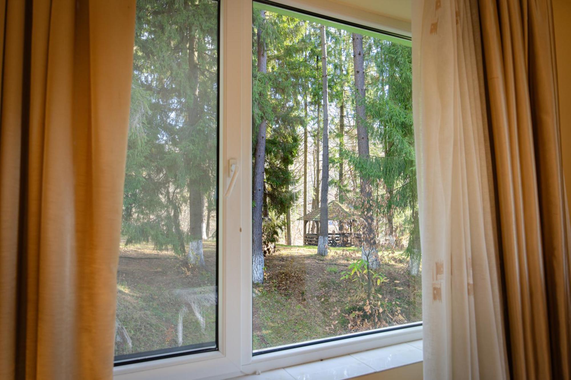 Pensiunea Limpedea Baia Sprie Quarto foto